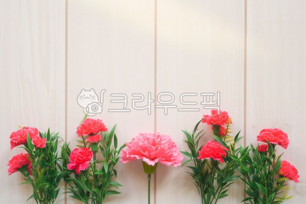 어버이날,스승의날,감사인사,카네이션,꽃,5월8일,carnation,flower,감사카드,감사엽서,우드무늬,꽃배경,배경이미지,가정의달,어버이날배경