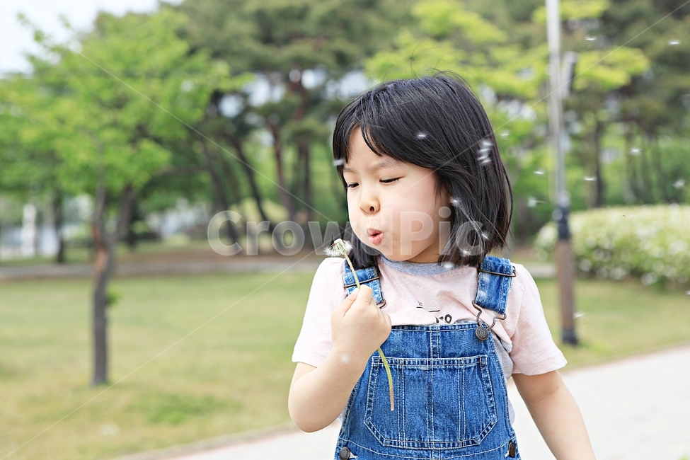 여자아이,아이,어린이,사람,자연,배경