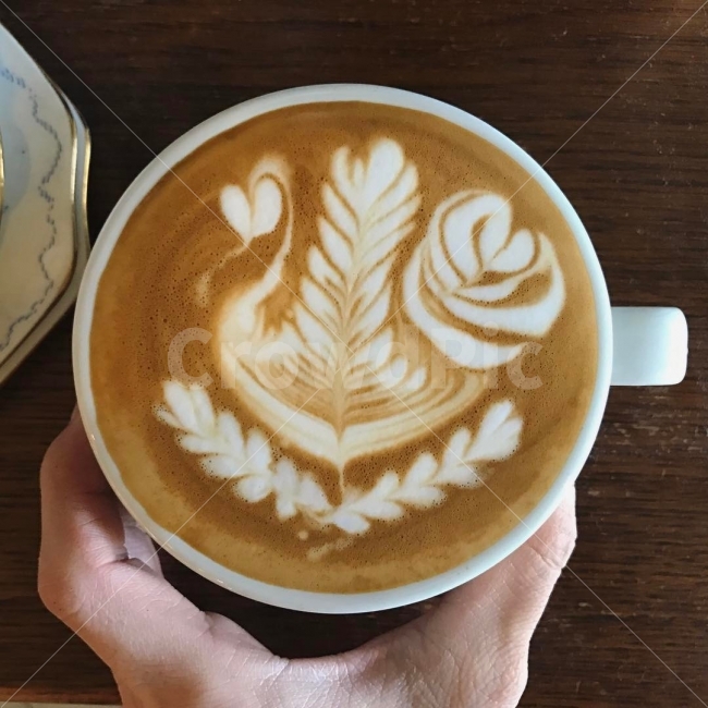 카페라떼,커피,백조,스완,라떼아트,커피,카페,coffee,cafe,사물,물건,오브젝트,thing,object,matter