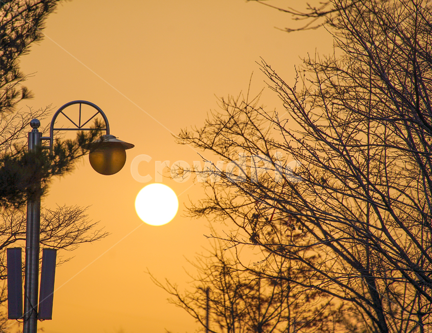 태양,해,가로등,나무,아침,자연,풍경,nature,landscape