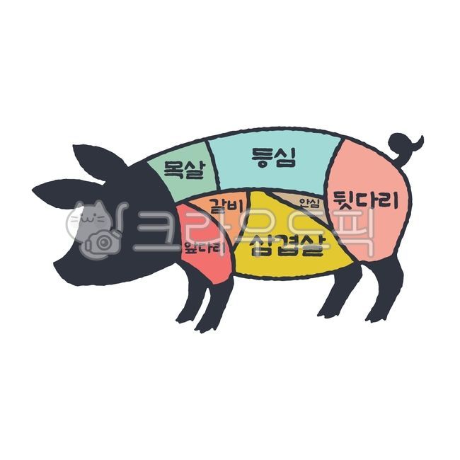 돼지,돼지고기,돼지부위,목살,삼겹살,등심,갈비,안심,앞다리,뒷다리,돼지그림,정육점,식당,음식,요리