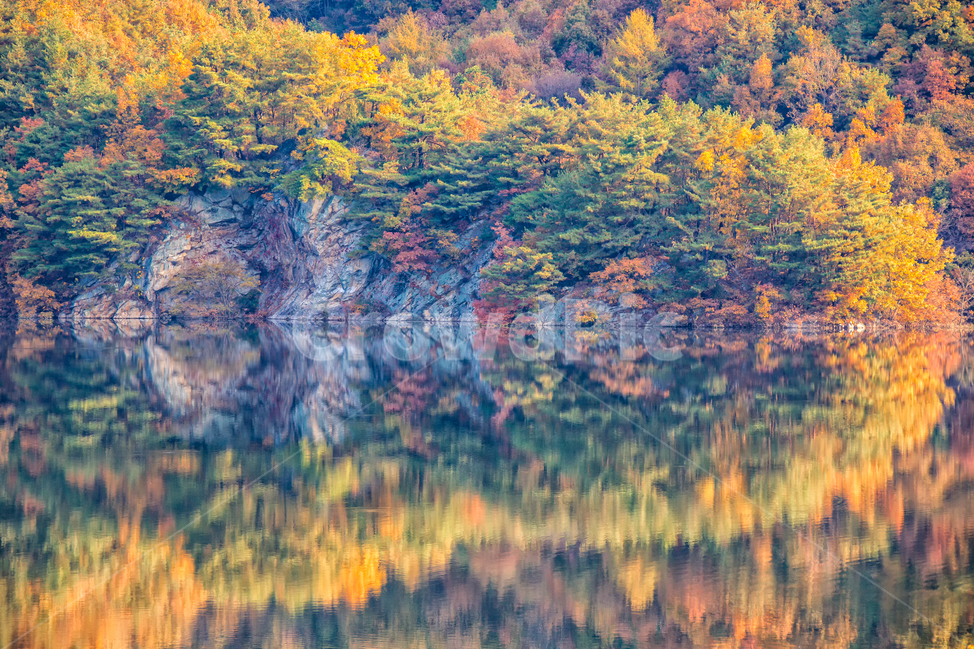 가을풍경,가을,반영,자연,nature,용담호,tree,plant,가을,계절,fall,autumn,season,자연,풍경,nature,landscape,한국자연풍경,한국자연경관,korea nature landscape