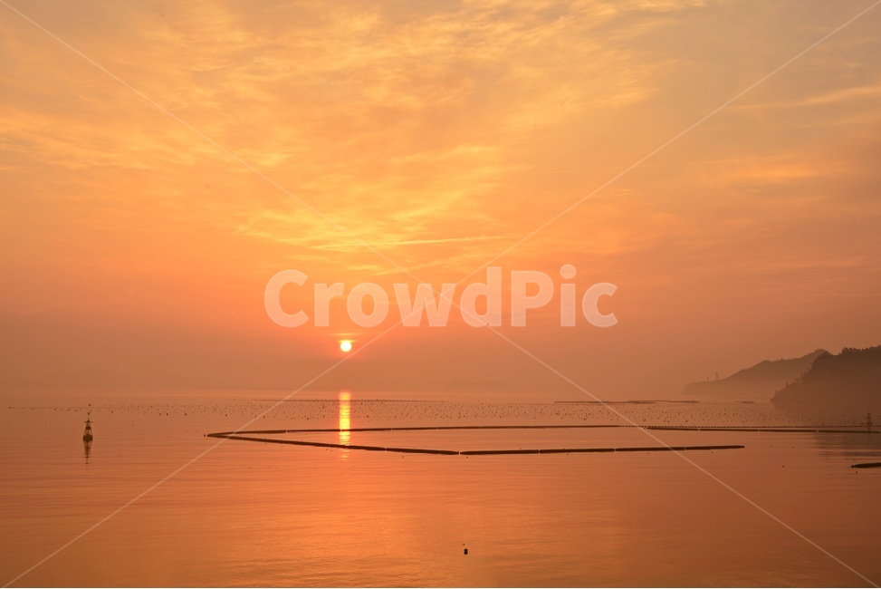 nature,자연,shoreline,해안선,water,물,sea,바다,coast,연안,진도,조도,창유항,창유항아침,창유항일출,자연,풍경,nature,landscape