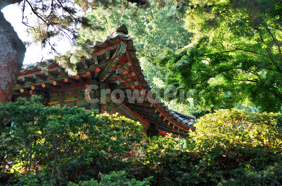처마,봉은사,삼성동,구름,푸른하늘,흰구름,숲,한국전통,한국문화,korean traditional,korean culture,건축물,건물외관,exterior,building,structure,architecture,construction