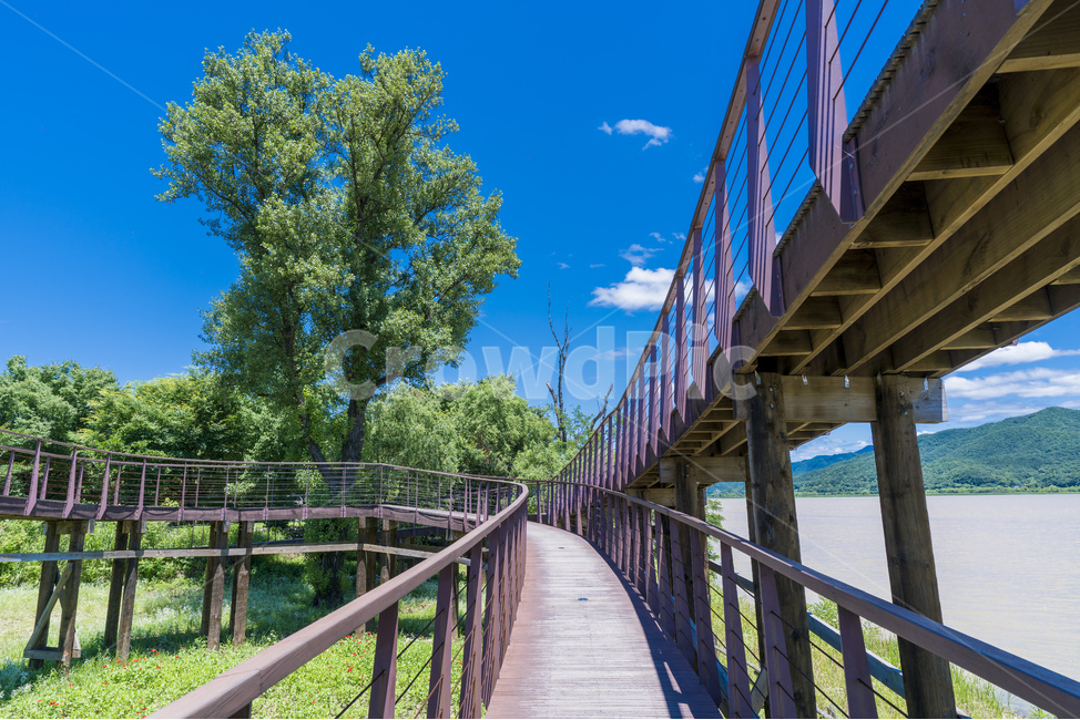 양평,여름,파란하늘,다산생태공원,하늘,자연,풍경,nature,landscape,railing,난간,handrail,banister,building,건물,bridge,다리,boardwalk,산책로