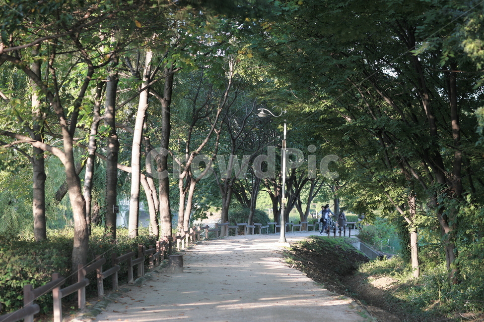 공원,숲,forest,park,여름,자연,풍경,nature,landscape,사람들,대중,군중,other people,crowd,garden,정원,outdoors,옥외,arbour,정자