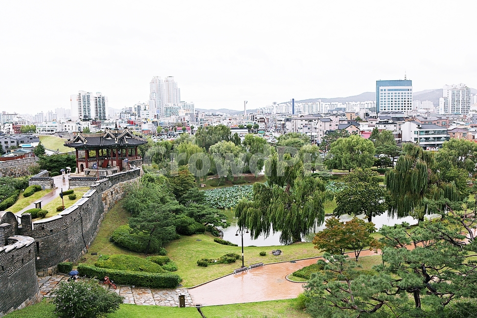수원화성,성,성곽,길,둘레길,돌담,가을,담,자연,풍경,벽,방어벽,식물,전통,한국전통,한국문화,korean traditional,korean culture