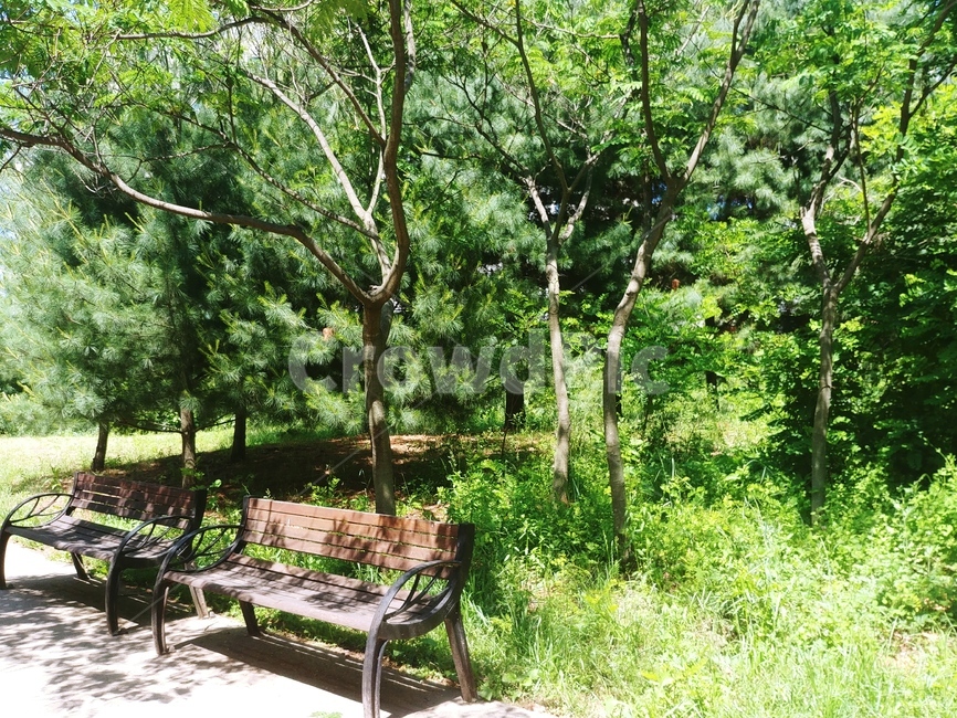 벤치,bench,자연,나무,휴식,자연,풍경,nature,landscape