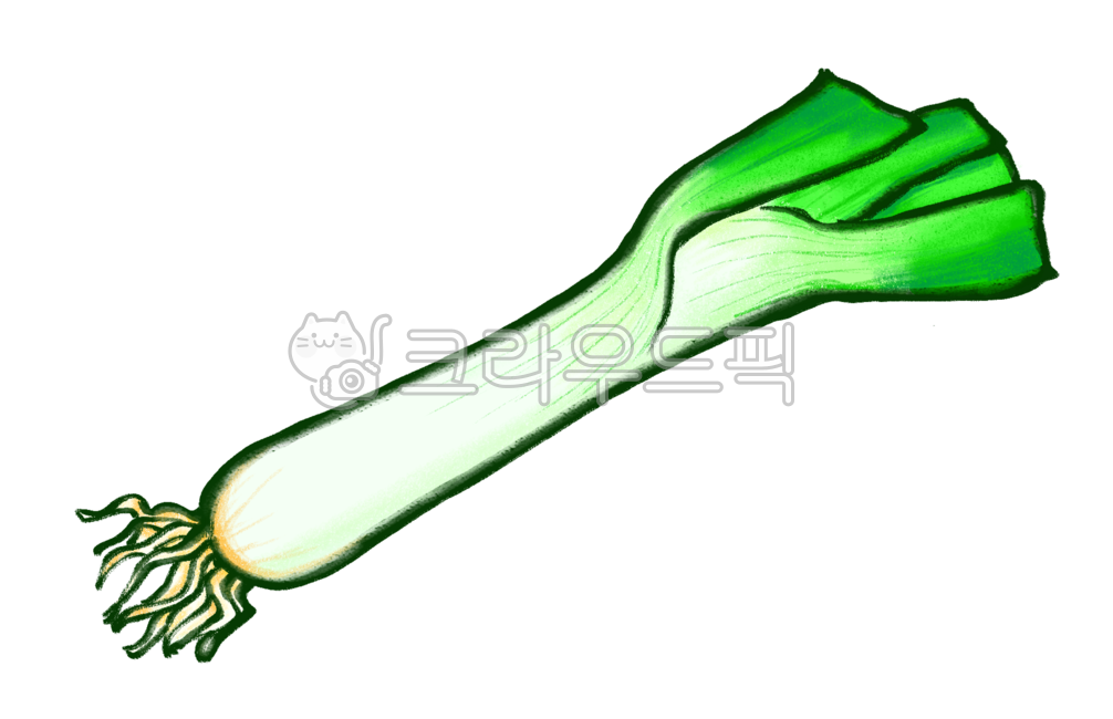 파, 대파, 일러스트, png, 식재료, 사진,이미지,일러스트,캘리그라피 - shirasan작가