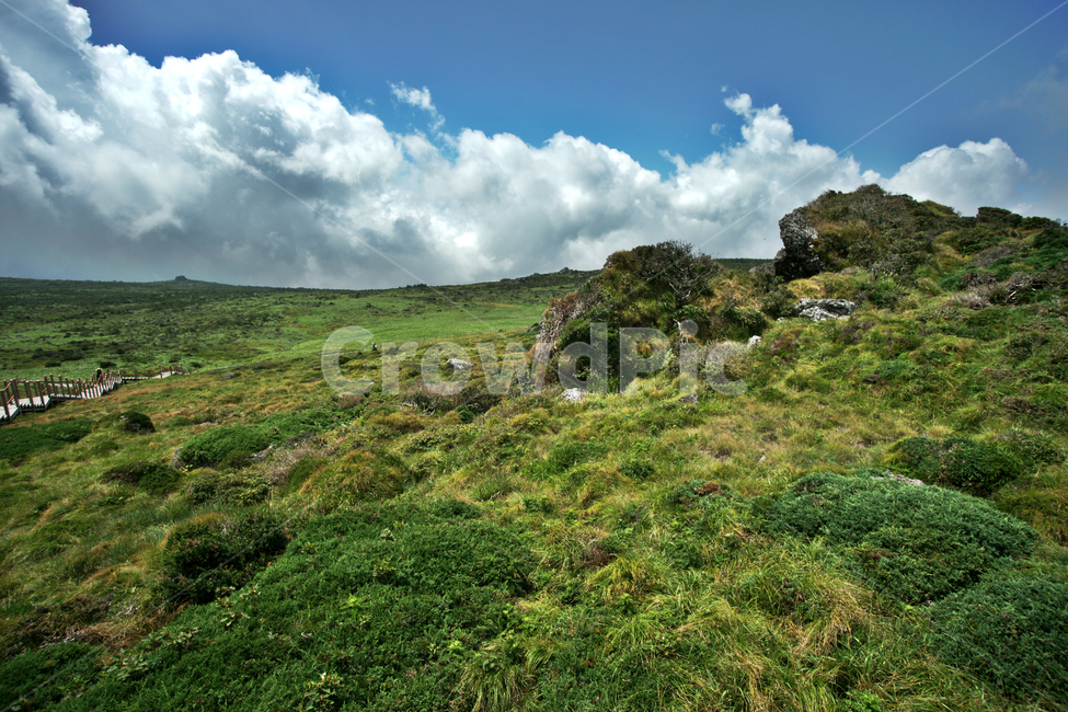 한라산,윗세오름,제주,영산,구름,운무,영실코스,자연,수풀,자연,풍경,nature,landscape,한국자연풍경,한국자연경관,korea nature landscape,제주도,jeju,jeju island,outdoors,옥외,plateau,고원,grassland,목초지,field,들,land,땅