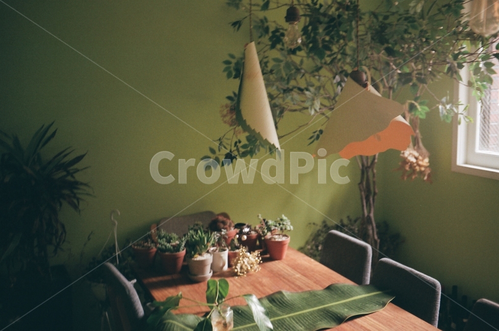 필름,필름사진,film,탁자,인테리어,interior,카페,cafe