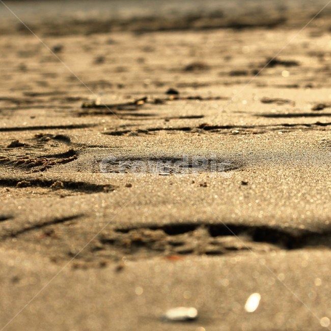 바다,모래,해변,감성,해안,해변,바다,beach,sea,감성,sensible,feeling