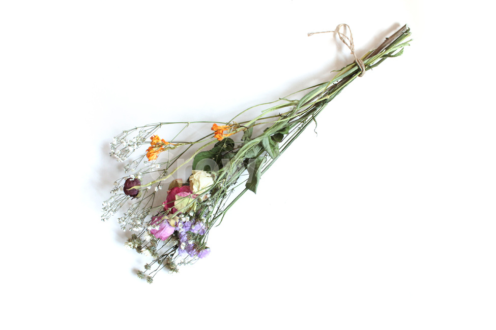 flower,꽃,plant,식물,ornament,장식,드라이플라워,driedflower,꽃다발,dryflower,흰색배경