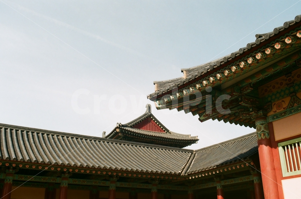 백제문화단지,부여백제문화단지,백제,궁궐,한옥,필름사진,필름카메라,랜드마크,landmark,tourist attraction,한국전통,한국문화,korean traditional,korean culture,감성,sensible,feeling