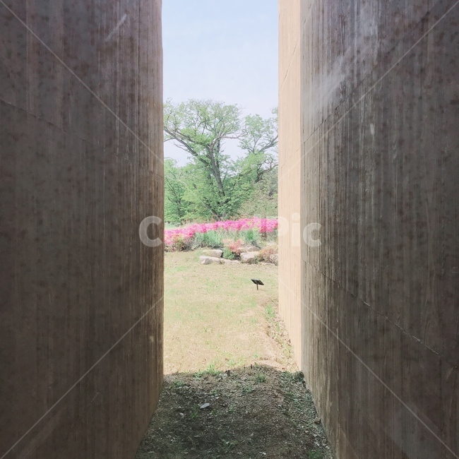 벽,길,wall,road,사이