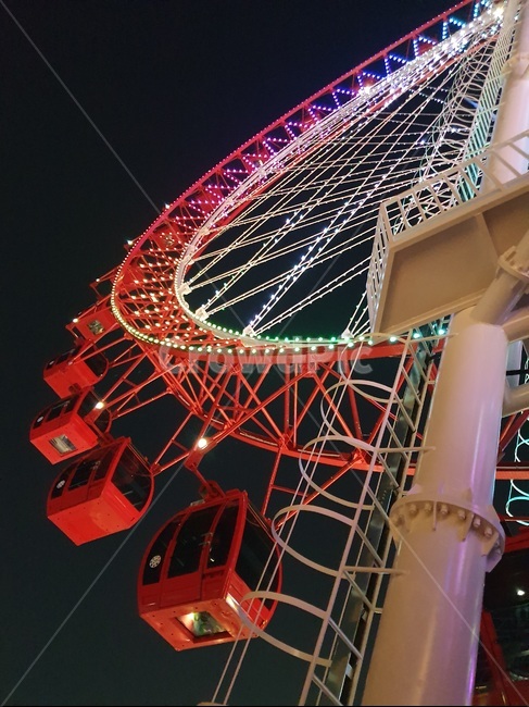 놀이공원,관람차,밤,동성로,ferriswheel