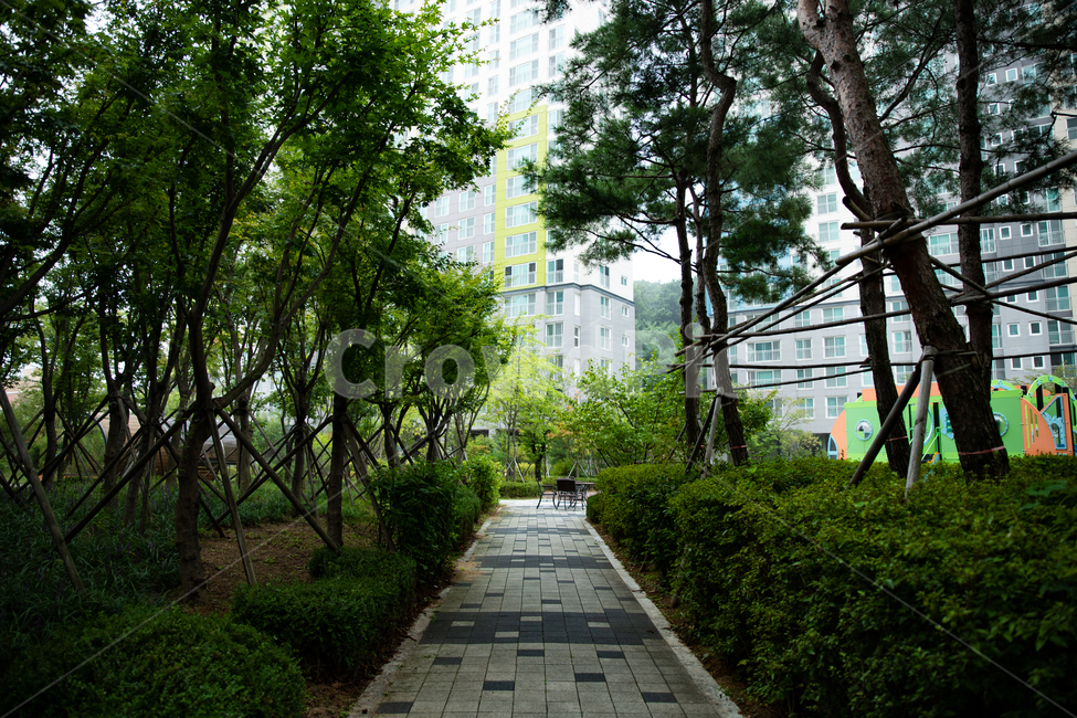 아파트,집,산책,apt,house,주거,신도시,단지,도시,풍경,city,landscape,flagstone,판석,outdoors,옥외,garden,정원