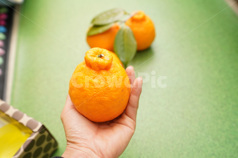 과일,한라봉,fruit,후식,food,컬러,orange,주황색,감귤류과일,음식,음식,식재료,요리,food,cook,meal,dishes,food reserves,과일,열매,fruit
