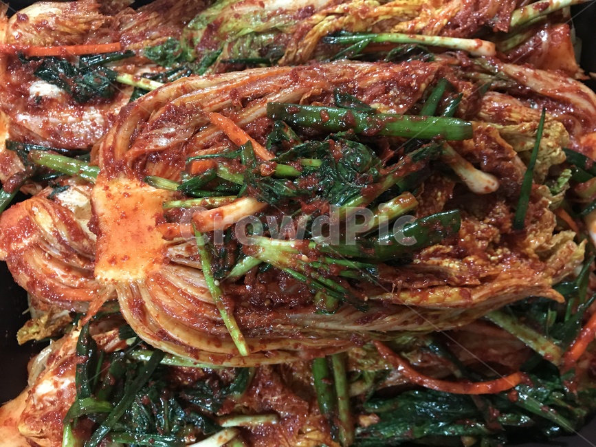 김장,배추,김치,배추김치,한국음식,음식,양념,전통,한국전통,한국문화,korean traditional,korean culture,음식,식재료,요리,food,cook,meal,dishes,food reserves,채소,야채,vegetables,한식,한국음식,한국요리,korean food,korean dishes,korean meal,korean cook