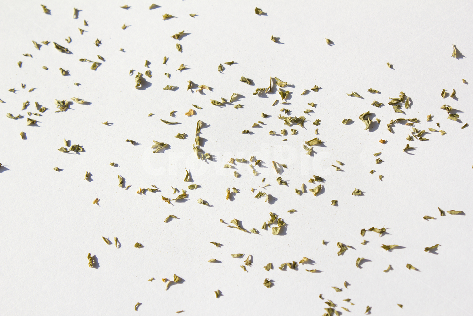 말린잎,cooking,parsleyleaf,양념,parsley,파슬리가루,파슬리,driedparsley,파슬리잎,dry,dryparsley,food,green,italian,leaf,macro,plant,powder,topview,식재료,closeup,요리재료,말린,마른,가루,파우더,이탈리안,탑,탑뷰,탑앵글