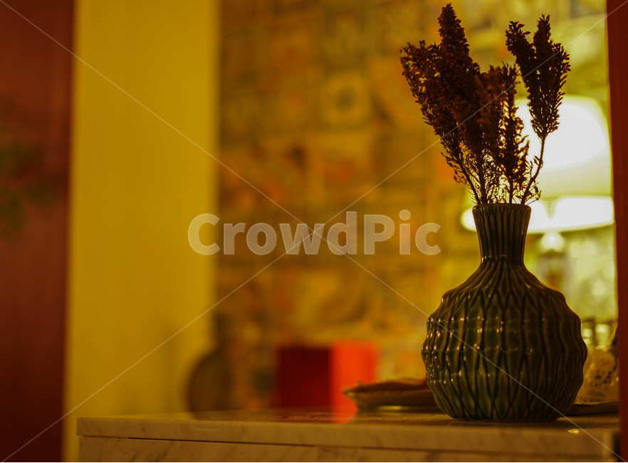 카페,커피,따듯한,노랑,서양,실내용화초,화분,화초,house plant
