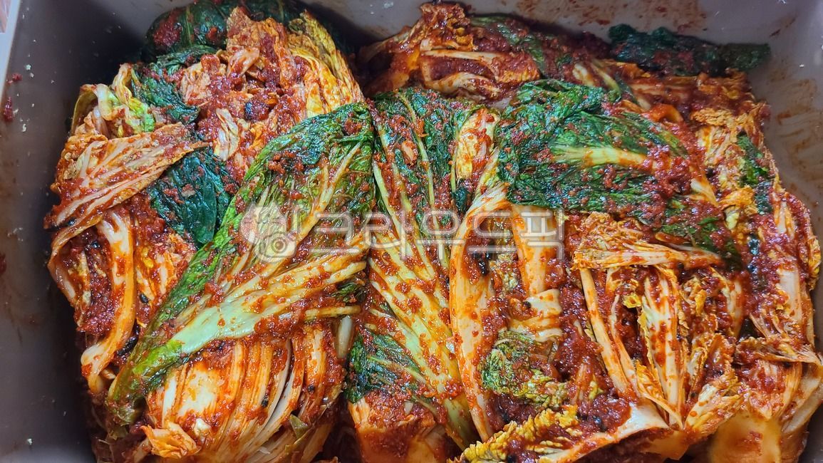 배추김치,포기김치,김치,김장,한국전통음식,한국음식,반찬,보쌈김치,배추,양념,한식