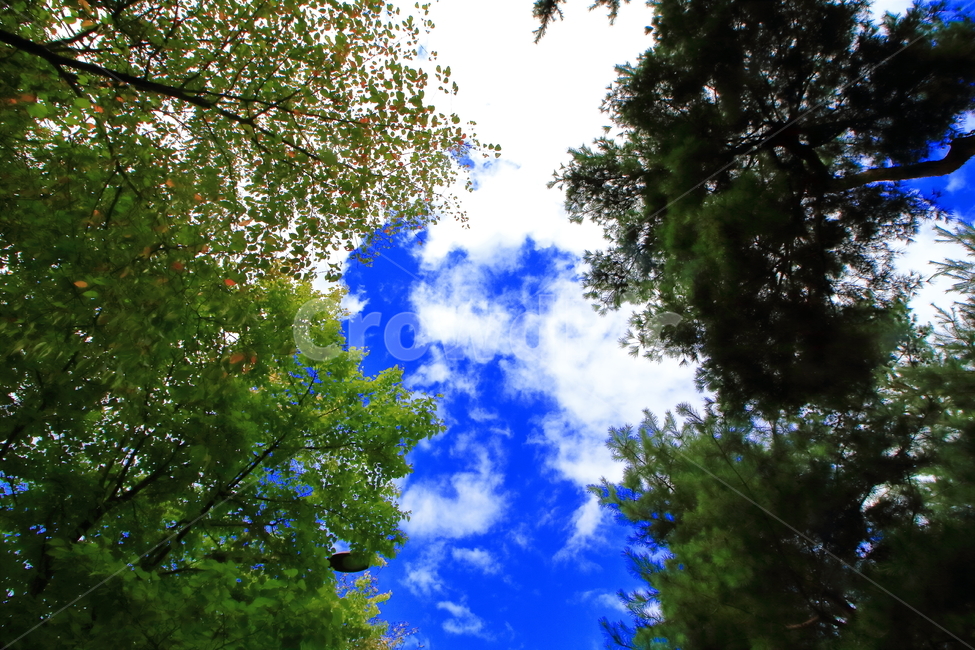 가을,하늘,청명한,sky,fall,자연,풍경,landscape,여유로움,한가한,망중한,조용함,10월,자연,풍경,nature,landscape,flare,플레어,light,빛,sunlight,햇빛