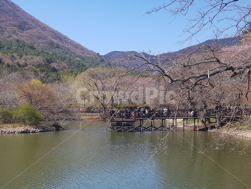 호수,공원,풍경,봄,나무,자연,풍경,nature,landscape