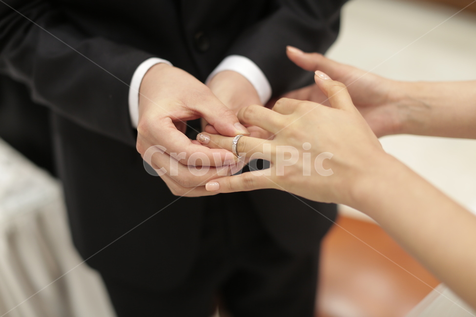 손,결혼식,반지,결혼,반지교환,사랑,사람,인물,인간,human,person,연인,커플,사랑,lover,couple,결혼,혼례,웨딩,wedding,marriage,marry