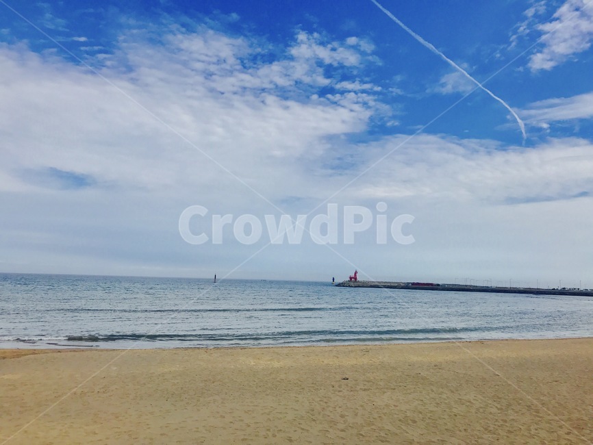 제주도,해변,이호테우,바다,하늘