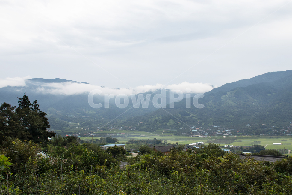 하늘,sky,옥외,nature,자연,land,땅,나무,경치,자연경관,자연경치,mountains,tree,grassland,목초지,field,들,outdoors,paddyfield,패디필드,countryside,시골,시골경관,시골경치,들판,밭,논,자연배경,farm,ricepaddy,scene,natureview,잔디밭,lawn,안개,비온뒤,비온날씨,rain,mist,fog,smog,산맥,mountainrange,mountain,산,자연,풍경,nature,landscape,mountain range