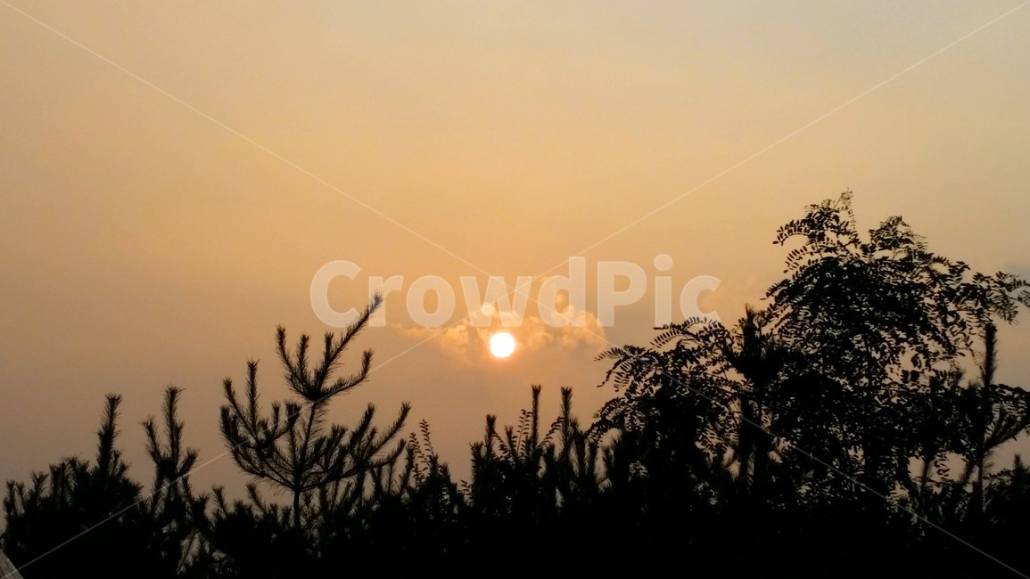 빛,자연,sunlight,nature,light,역광,자연,풍경,nature,landscape