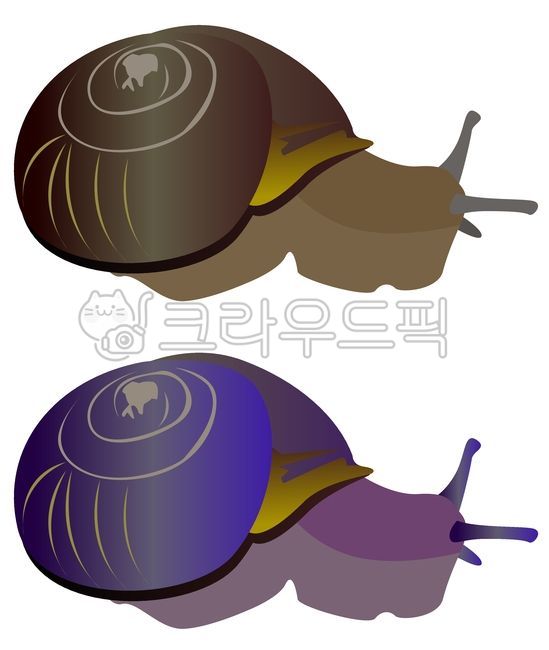 snail,sauce,vertor,animal,vector,illustration,invertebrate,illust,graphic,invertebrates,design source