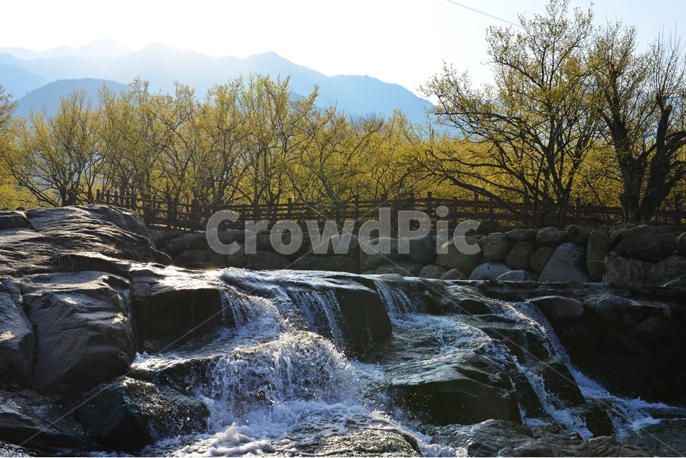 전남,구례,산동,산수유마을,산동산수유마을,산수유,산수유꽃,반영,mountainrange,산맥,mountain,산,nature,자연,water,물,outdoors,옥외,waterfall,폭포,자연,풍경,nature,landscape