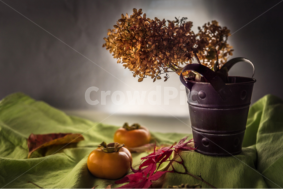 가을,감,과일,정물,꽃,꽃바구니,컨셉,life,still,background,flowers,bouquet,art,style,flower,vintage,garden,nature,beauty,color,decoration,beautiful,concept,plant,leaf,floral,artistic,꽃병,어두운,테이블,빛,아련한,감성사진,조용한,침묵,향기로운,자연,서재,필름사진,식물,인테리어,실내디자인,음식,식재료,요리,food,cook,meal,dishes,food reserves,과일,열매,fruit,연출,컨셉,콘셉,direction,concept