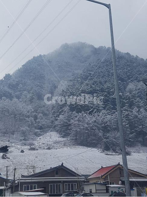 강원도,설경,설산,눈발,야산,겨울산,겨울,winter,snow,겨울풍경,겨울,계절,winter,season,자연,풍경,nature,landscape,outdoors,옥외