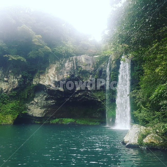 천지연,물,water,nature,자연,outdoors,옥외,river,강,천지연폭포,폭포,waterfall,자연,풍경,nature,landscape,한국자연풍경,한국자연경관,korea nature landscape