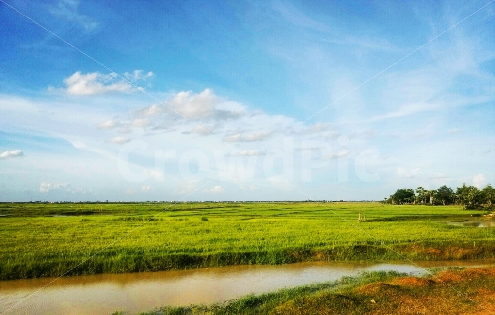 푸른,하늘,구름,초원,맑음,오후,화창한,들판,blue,green,sky,grass,grassland,자연,풍경,nature,landscape,field,들,outdoors,옥외,목초지