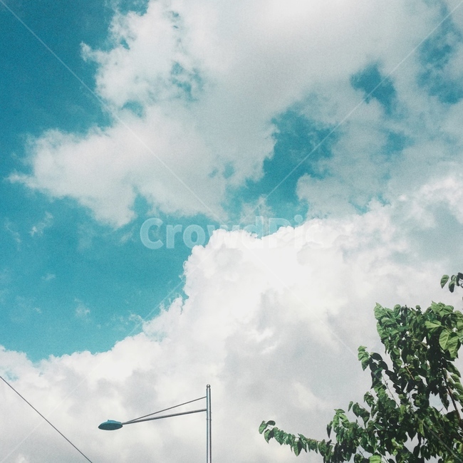 구름,하늘,파랑,감성,나무,빛,자연,풍경,nature,landscape,감성,sensible,feeling,outdoors,옥외