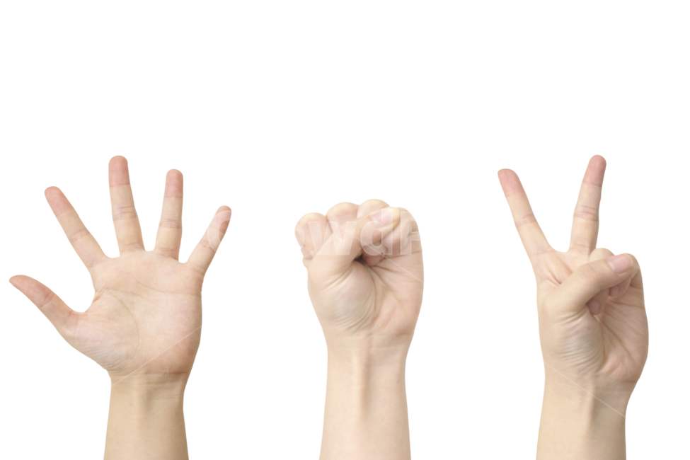 가위바위보,손,사람,가위바위보누끼,손누끼,png,인간,손목,제스쳐,가위,바위,보,컨셉,콘셉,손동작,누끼,rockpaperscissors,rock,paper,scissors,hand,person,removebackground,신체일부,body,wrist,human,concept,gesture,손가락,finger,주먹,fist,여자,여자손,woman,심볼,symbol,놀이,오락,play,연출,사람,인물,인간,human,person,신체일부,몸,body,손,제스처,표시,손짓,표현,gesture,hand,sign,expression,누끼,remove background