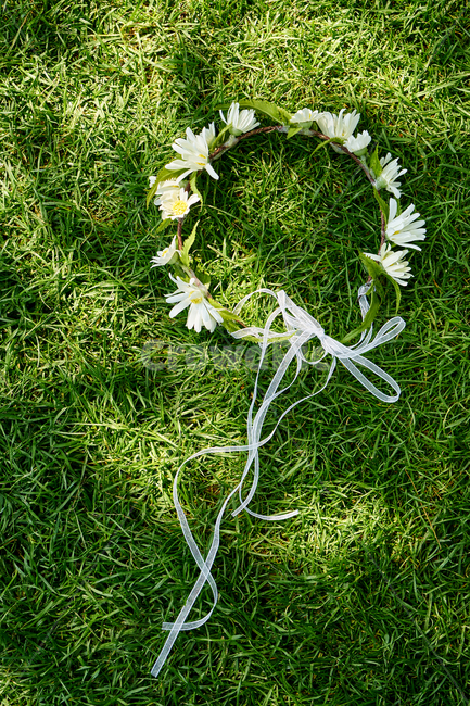 머리띠,꽃,식물,결혼,정물,로맨틱,조화,꽃,flower,결혼,혼례,웨딩,wedding,marriage,marry,기념일,축하,anniversary,congratulation,celebrate,celebration