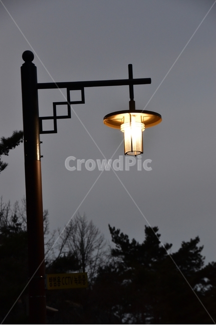 winter night,street lamp,light,lamp,light and darkness