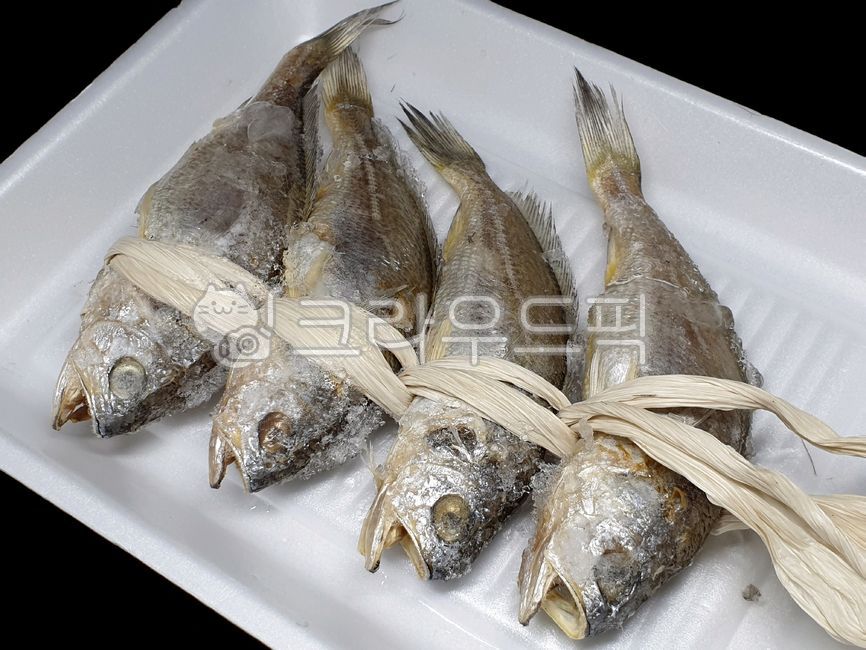 조기, 굴비, 물고기, 생선, fish, 사진,이미지,일러스트,캘리그라피 - 드래곤볼작가