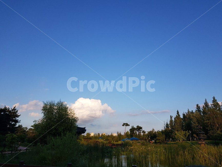 land,nature,자연,outdoors,옥외,water,자연,풍경,nature,landscape,물,땅