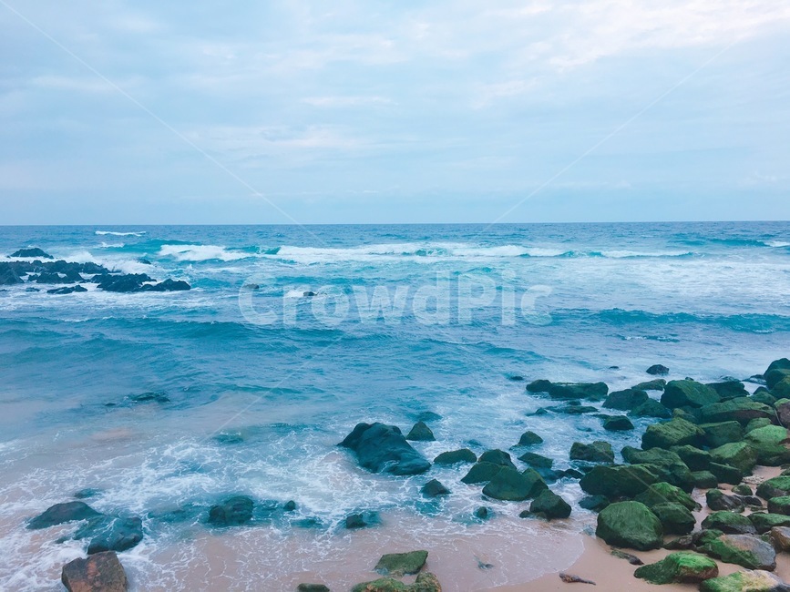 바다,해변,이끼,풍경,자연,sea,natural