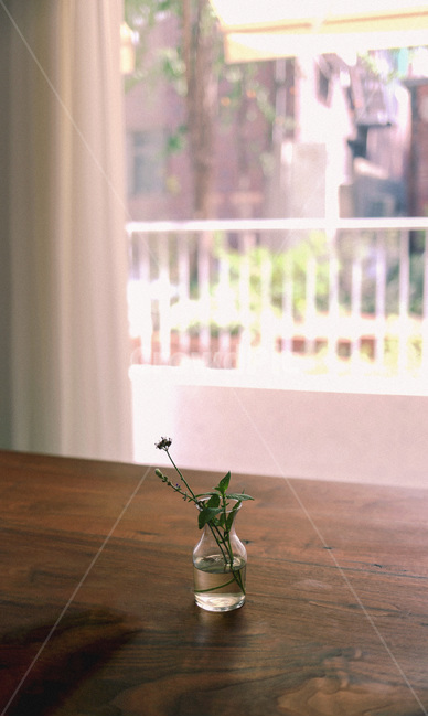 꽃,카페,cafe,flower,vase,꽃병,실내용화초,화분,화초,house plant,인테리어,실내디자인,interior design