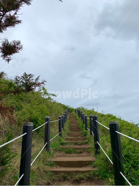 자연,제주도,오름,구름,하늘,다리,백약이오름
