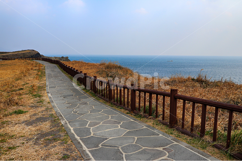 제주도,송악산,송악산둘레길,풍경,둘레길,자연,옥외,outdoors,nature,바다,해안선,sea