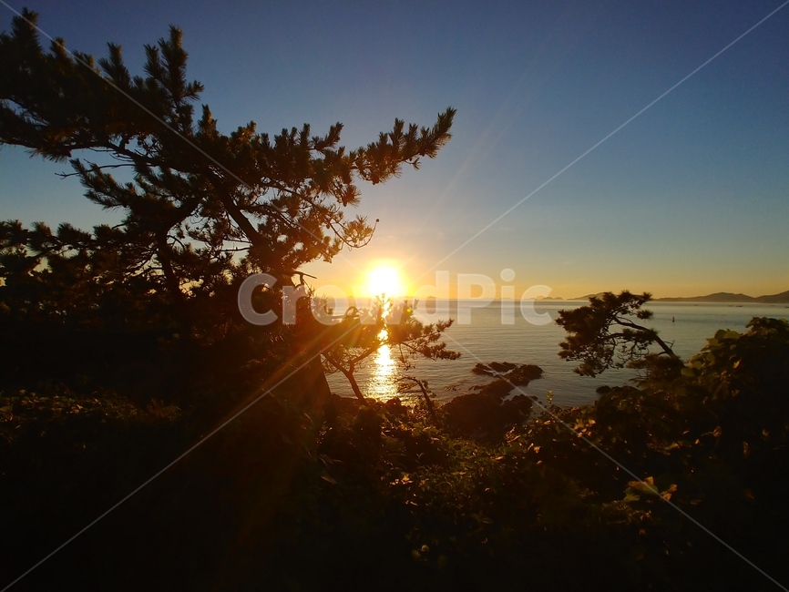 일몰,나무,바다,풍경,sunset,감성,해,노을,sun,자연,풍경,nature,landscape,flare,플레어,light,빛