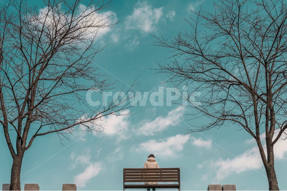 겨울하늘,구도,색감,풍경사진,구름,맑은하늘,시원,인물사진,나무,공원,겨울,계절,winter,season,식물,자연,plants,nature,나무,trees,wood,사람,인물,인간,human,person,감성,sensible,feeling,고독함,외로움,쓸쓸함,우울함,슬픔,lonely,solitary